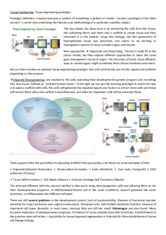 TissueEngineeringParadigmNico.pdf