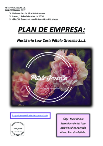 PLAN-DE-EMPRESA.pdf