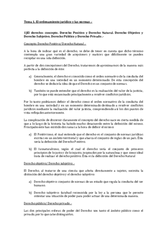 Tema 1.pdf