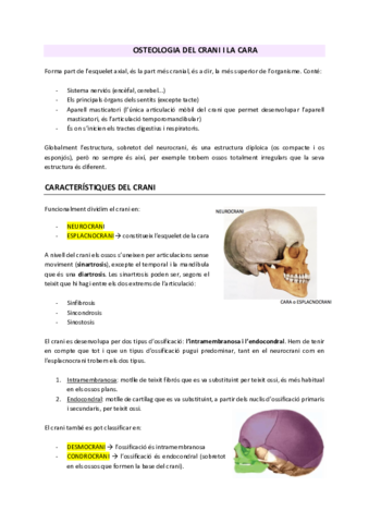 SEMINARIS-CRANI.pdf