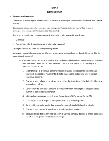 TEMA-3-ESPLACNOLOGIA.pdf