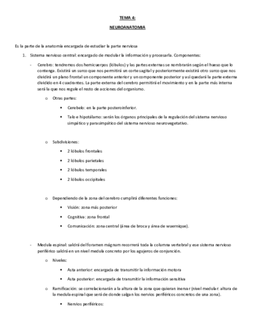 TEMA-4-NEUROANATOMIA.pdf
