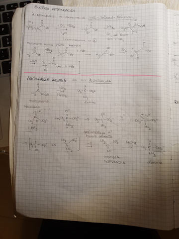 d2ef94c4-5ea1-4724-9eae-5b347c740bec.jpg