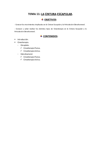TEMA-11-CINESITERAPIA.pdf