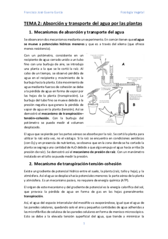 Tema-2.pdf