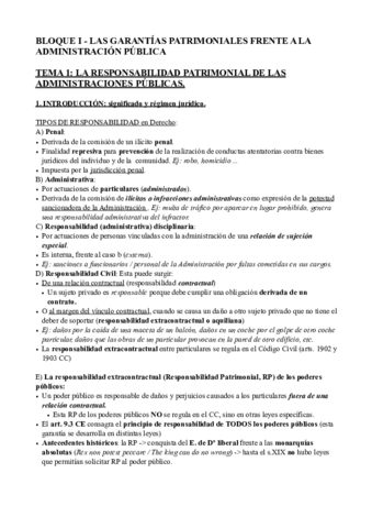 TEMA-1-ADMINISTRATIVO-II.pdf