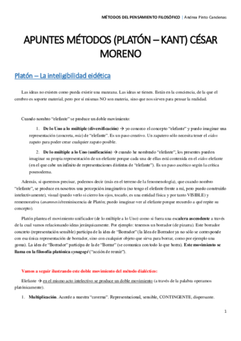APUNTES MÉTODOS (Clases de César).pdf