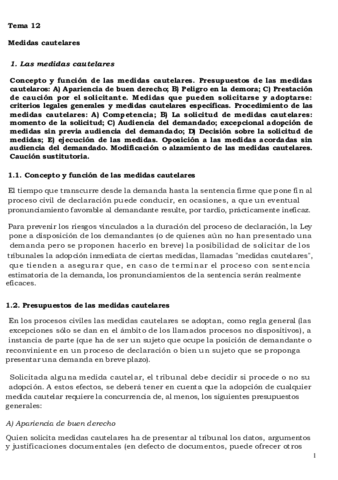 TEMA-12-MEDIDAS-CAUTELARES.pdf
