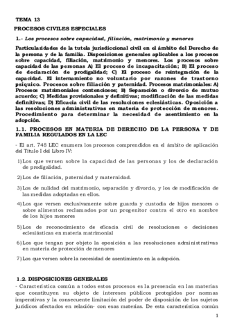 TEMA-13-PROCESOS-ESPECIALES.pdf