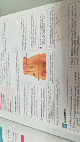 IMG-20191011-WA0016.jpg
