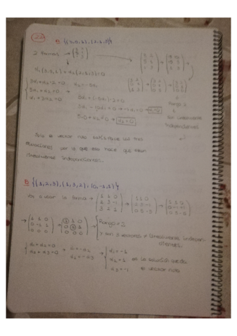 TEMA-DE-ALGEBRA-2.pdf