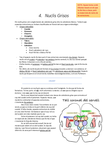 4. Nuclis Grisos .pdf