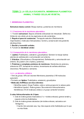 TEMA-3-biologia.pdf