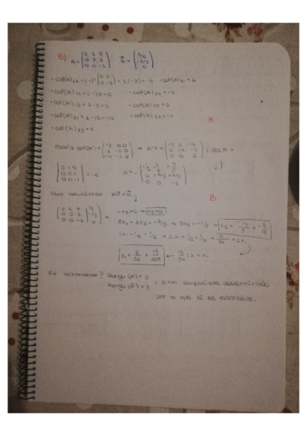 TEMA-DE-ALGEBRA-2-paginas-11-20.pdf