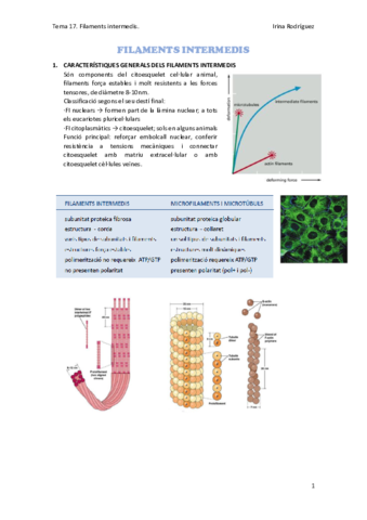 Tema-17.pdf