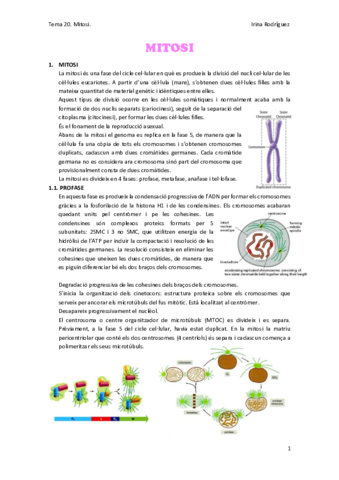 Tema-20.pdf