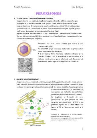 Tema-14.pdf