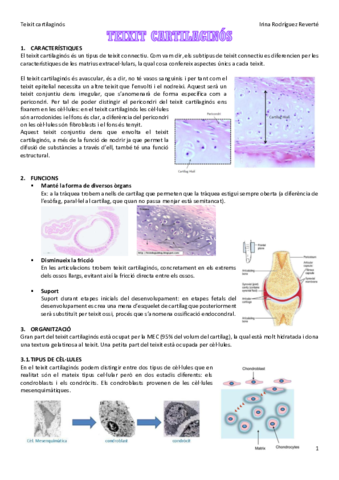 Teixit-cartilaginos.pdf