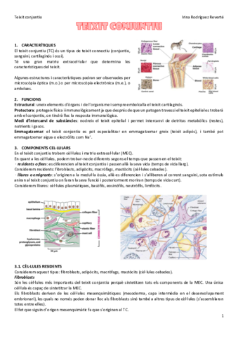 Teixit-conjuntiu.pdf