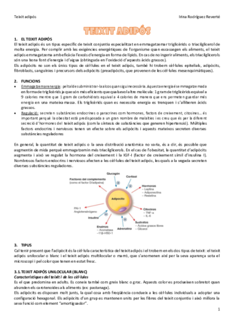 Teixit-adipos-histo-classe-invertida.pdf