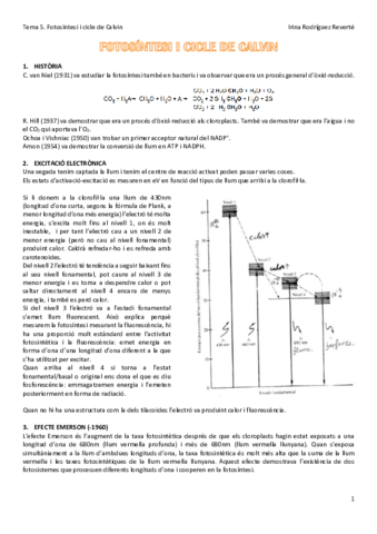 Tema-5-FV.pdf