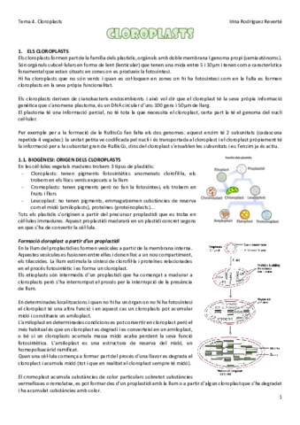 Tema-4-FV.pdf