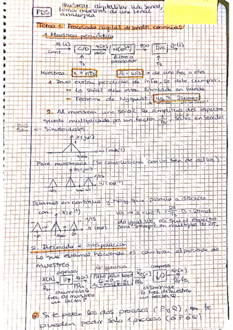 pds-intensivo-visan.pdf