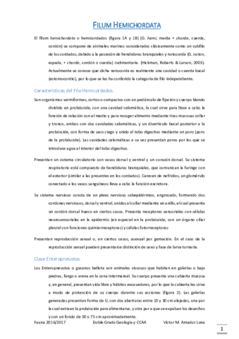 Hemicordados.pdf