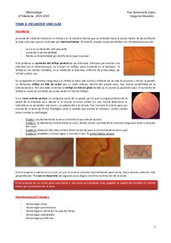 Tema-6-Esclerosis-vascular.pdf