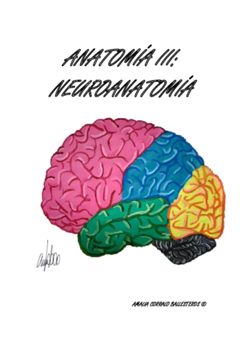 NEUROANATOMIA-AMALIA-CORRALO.pdf