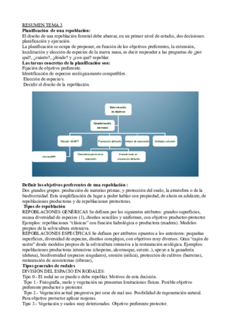 resumen-tema-3.pdf
