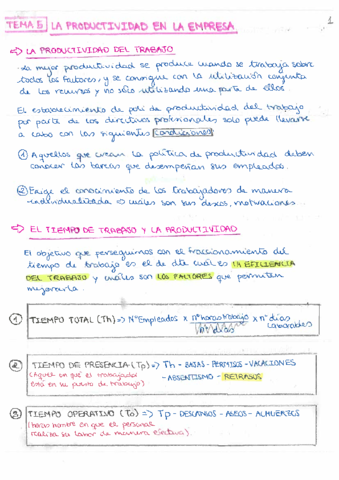 RESUMEN-TEMA-5--EJERS-RESUELTOS-PRODUCTIVIDAD.pdf