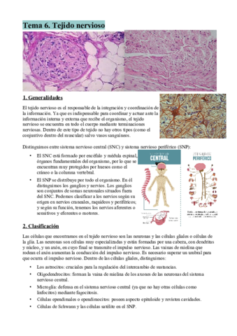 Tema-6-resumen.pdf