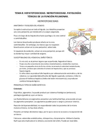 TEMA-8.pdf