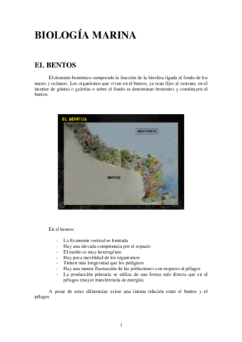 EL BENTOS.pdf