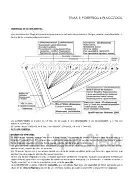 TEMA 123.pdf