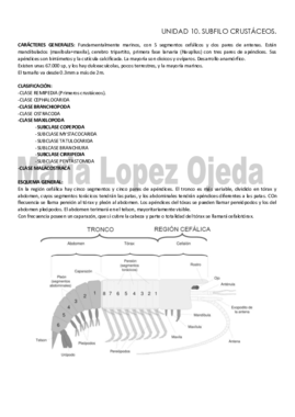 TEMA 9101112.pdf