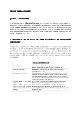 1.TEMA1.pdf