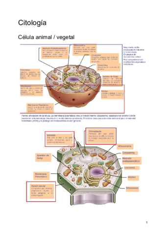 Citologia.pdf