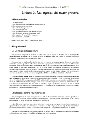 TEMA-5S.pdf