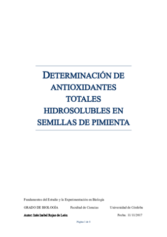 INFORME-Rojas-de-Leon-Ines-Isabel.pdf