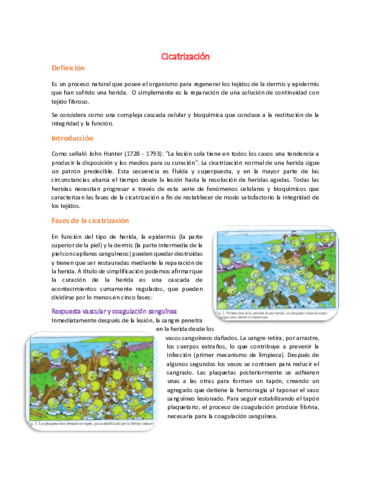 37-Cicatrizacion.pdf