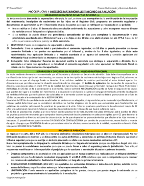 PROCESOS MATRIMONIALES Y RECURSO DE APELACIÓN.pdf
