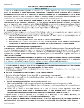 MEDIOS PROBATORIOS.pdf