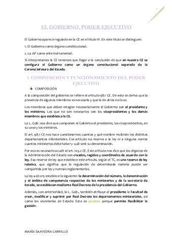 EL-GOBIERNO-4.pdf