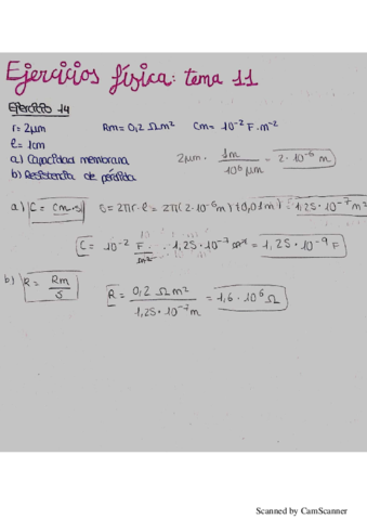 Fisica-Tema-11.pdf