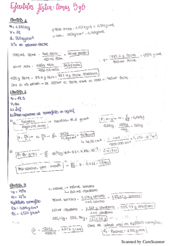 Fisica-Temas-5-y-6.pdf