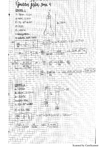 Fisica-Tema-4.pdf