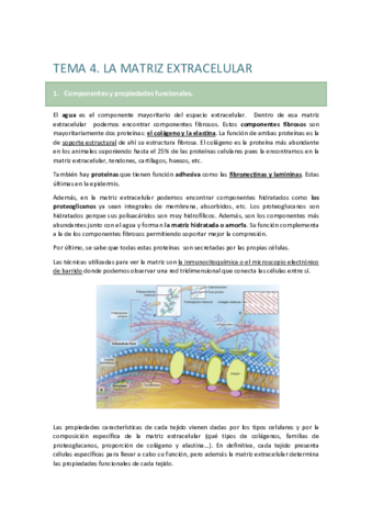 TEMA-4-LA-MATRIZ-EXTRACELULAR.pdf