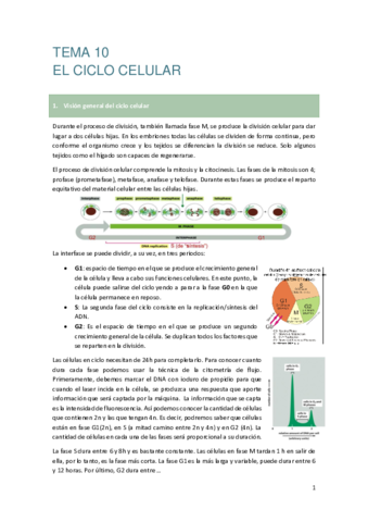 TEMA-10-EL-CICLO-CELULAR.pdf